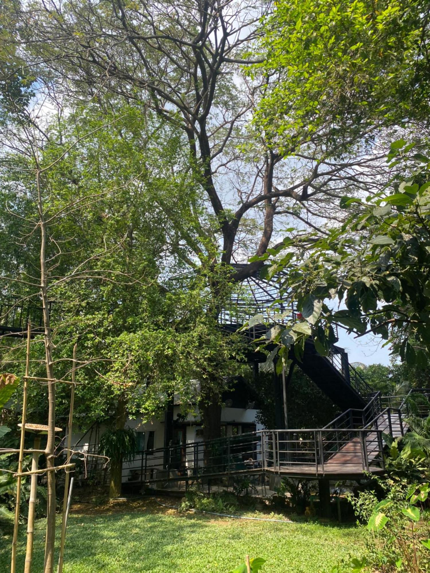 Hostelbed And Retreat Phitszanulok Kültér fotó
